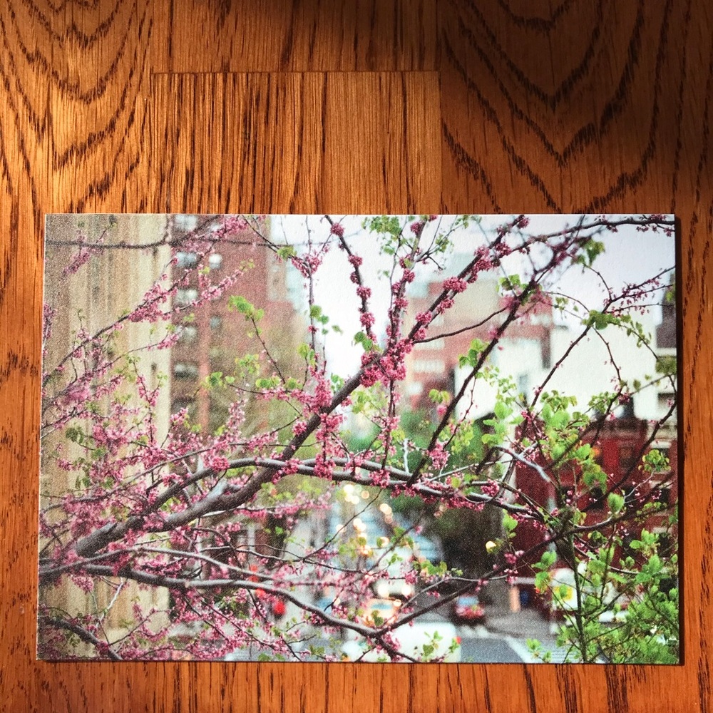 NYC Art Prints 3.5x5 Work as Postcards Too! - Picture 4 of 4